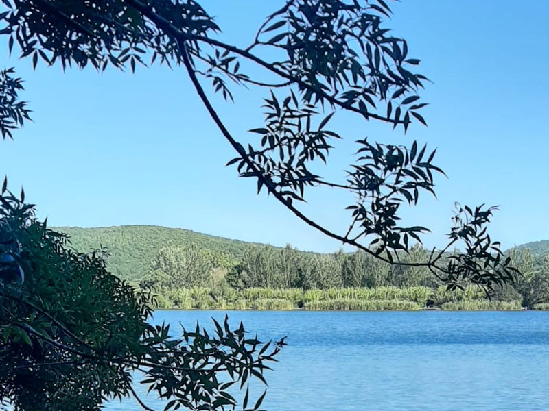 Cooking classes Abbadia San Salvatore: Traditional Tuscan cooking class with tiramisù