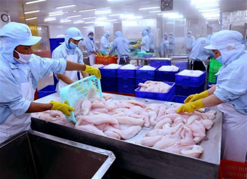 Fisheries sector required to continue improving product quality