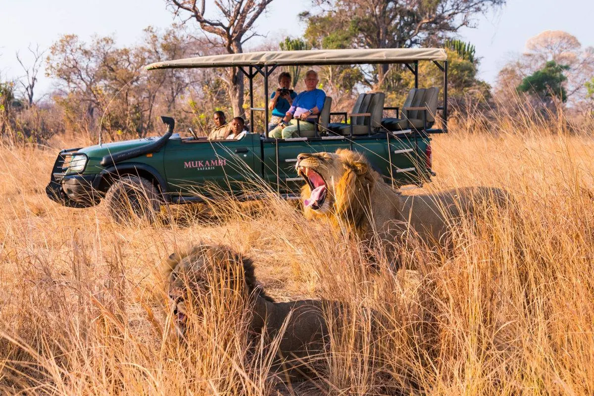 8 Day Full Kafue National Park Safari Experience, Zambia