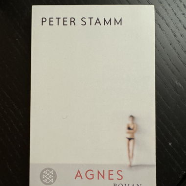 Peter Stamm „Agnes“