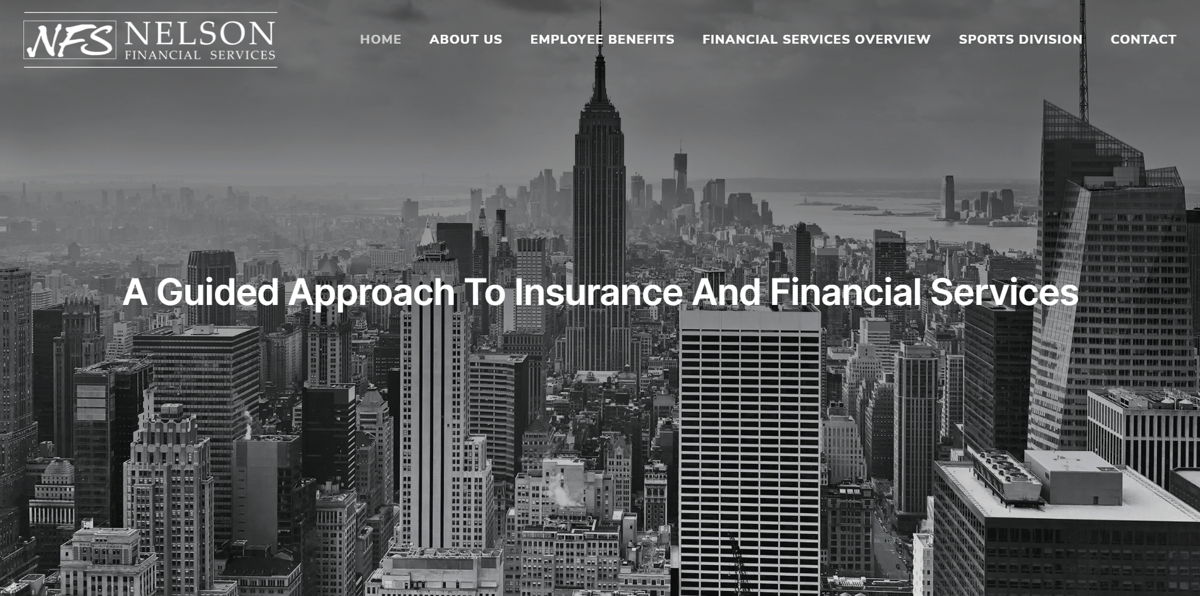 Screenshot of Nelson Financial Services, from the financial advisor websites collection.