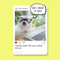 Dog Instagram caption - smart dog