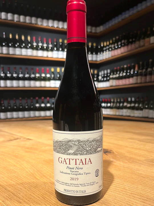 Terre di Giotto Gattaia Pinot Nero Toscana IGT 2019