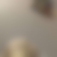 NOFANS PPV preview image
