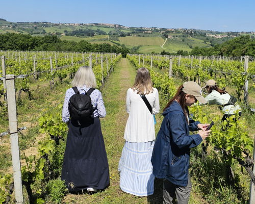 Food & Wine Tours Barberino Tavarnelle: Chianti: Winery Tour and Wine Tasting