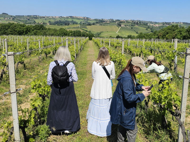 Food & Wine Tours Barberino Tavarnelle: Chianti: Winery Tour and Wine Tasting