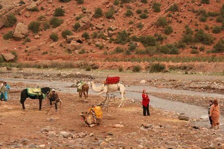 Camel ride atlas mountains.png
