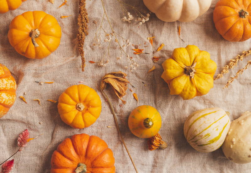 かぼちゃ 皮 オレンジ