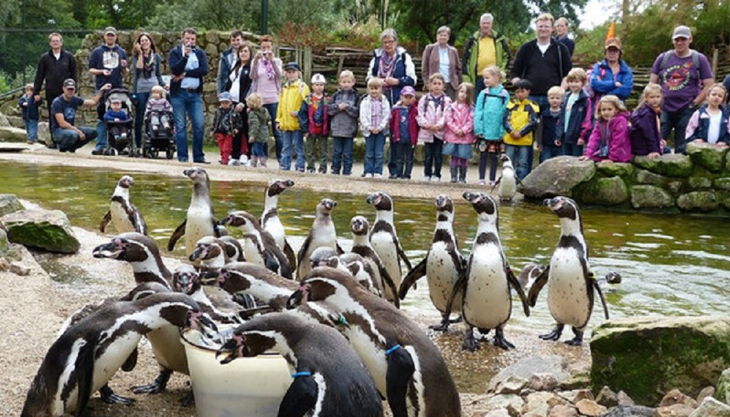 naturzoo rheine pinguin fütterung