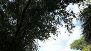 Main Content Image