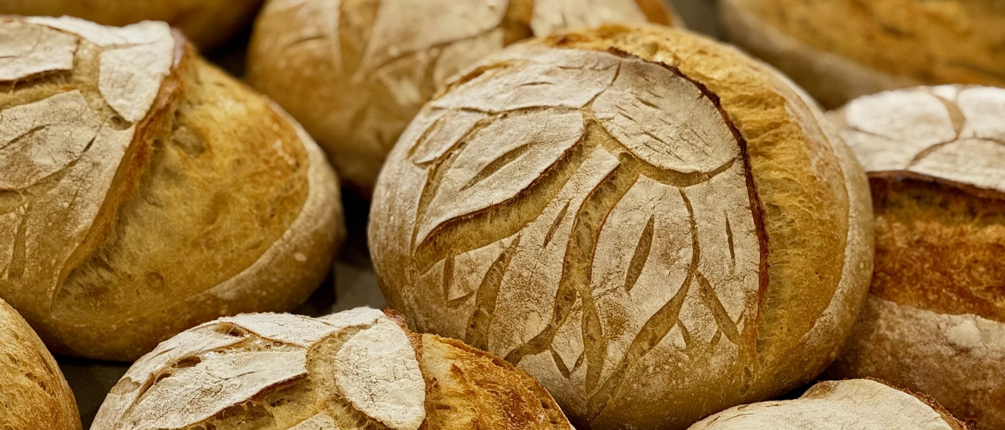 Lemmy Bee Bakery — photo from hotplate.com
