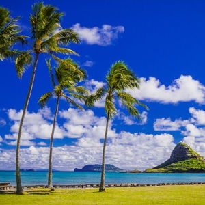 Oahu Full Day Tour