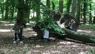 kinder hinter baumstamm