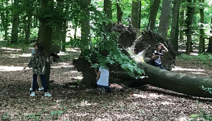 kinder hinter baumstamm