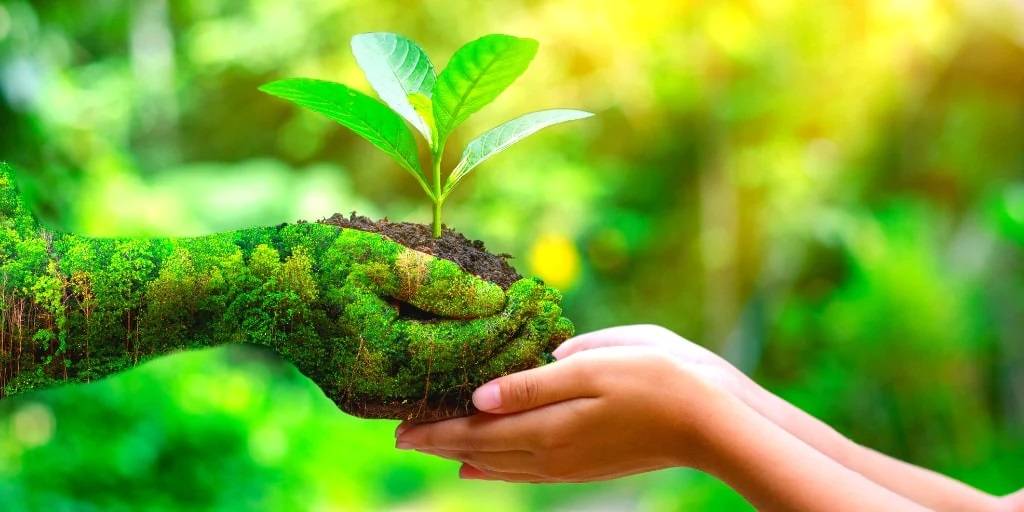 Sustainability And Eco-Friendliness