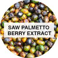 Saw palmetto berry extract