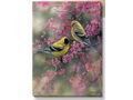 Goldfinch and Redbud Wrapped Canvas by Rosemary Millette