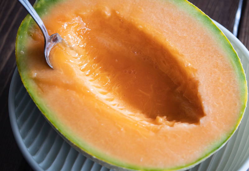 夕張メロン 時期