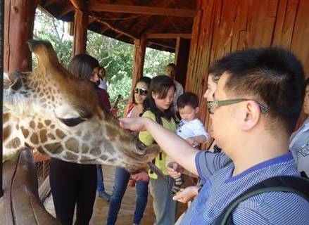 Giraffe Center & David Sheldrick Elephant Orphanage