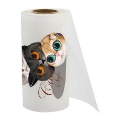 30CM*100M Double side, Cold Peel | DTF PET Film Roll