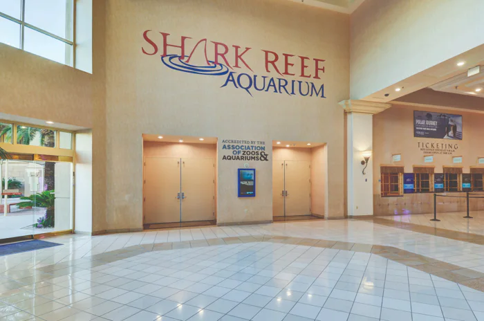 Shark Reef Aquarium at Mandalay Bay