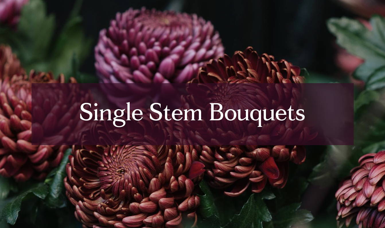 Single Stem Bouquets
