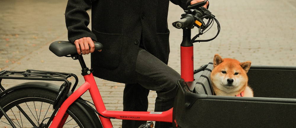 a man standing next to a cargo bike with a dog