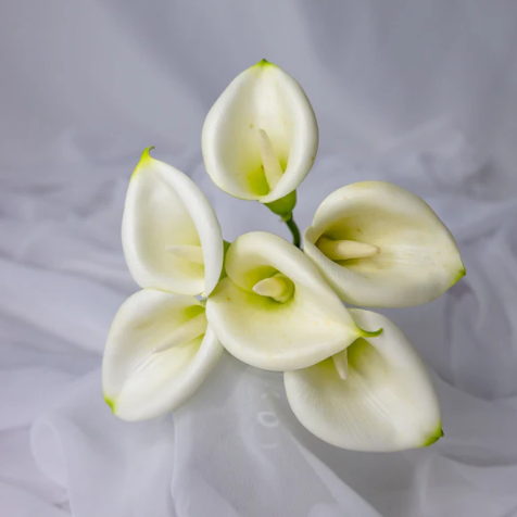 White Buttonhole Calla Lily -Realistic Artificial Flowers