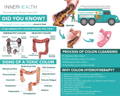 Why is Colon Health Important?