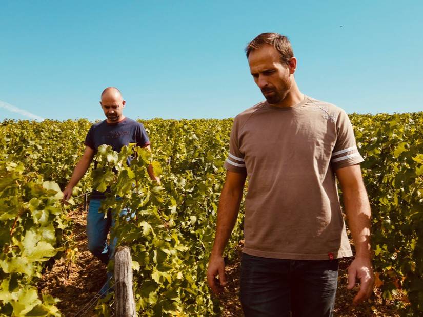 Domaine du Pré Semelé, vigneron à Sancerre. Julien et Clément Raimbault produisent des sauvignons de référence sur 22 hectares en bio, dont la cuvée Les Chasseignes, reconnue parmi les meilleurs au monde. Domaine du Pré Semelé, vigneron à Sancerre. Julien et Clément Raimbault produisent des sauvignons de référence sur 22 hectares en bio, dont la cuvée Les Chasseignes, reconnue parmi les meilleurs au monde.