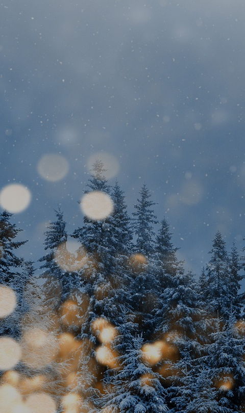 festlich. ruhig. erholsam.