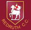 Redruth Cricket Club logo