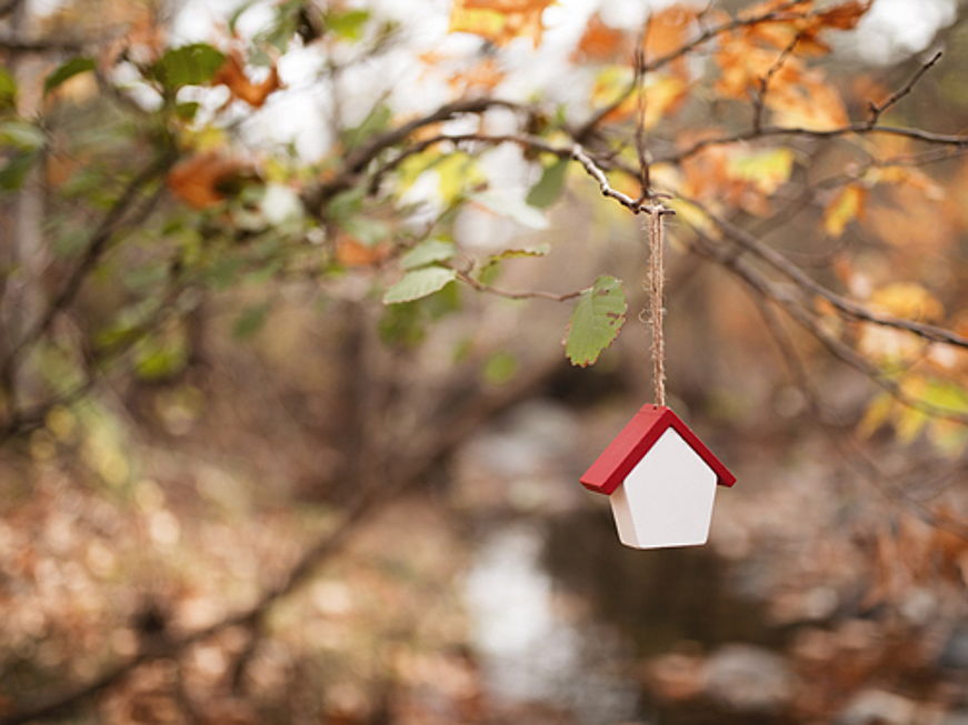  Riccione
- Vendere casa in autunno è facile se integrate queste semplici decorazioni autunnali