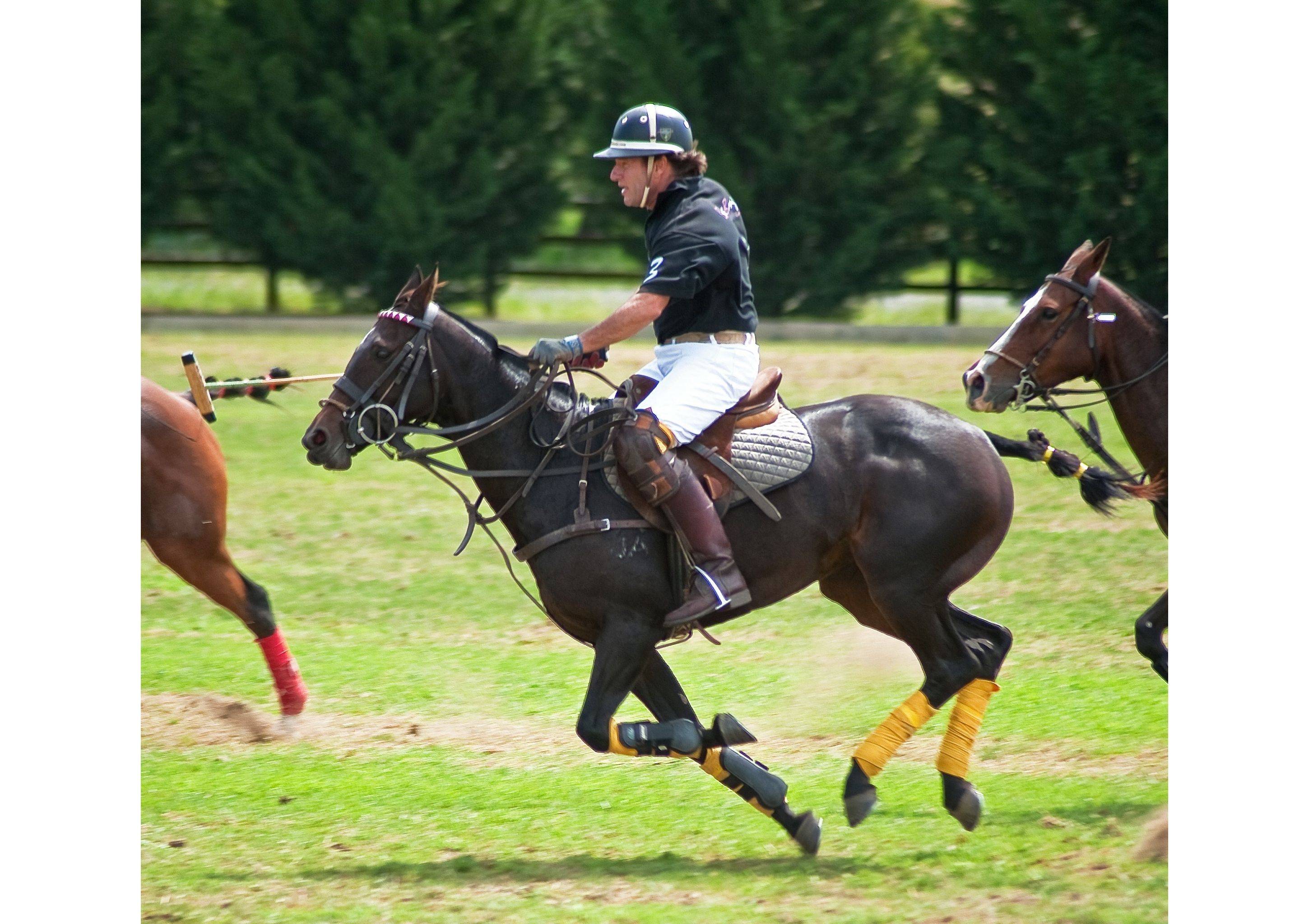 Eugene Playing Polo