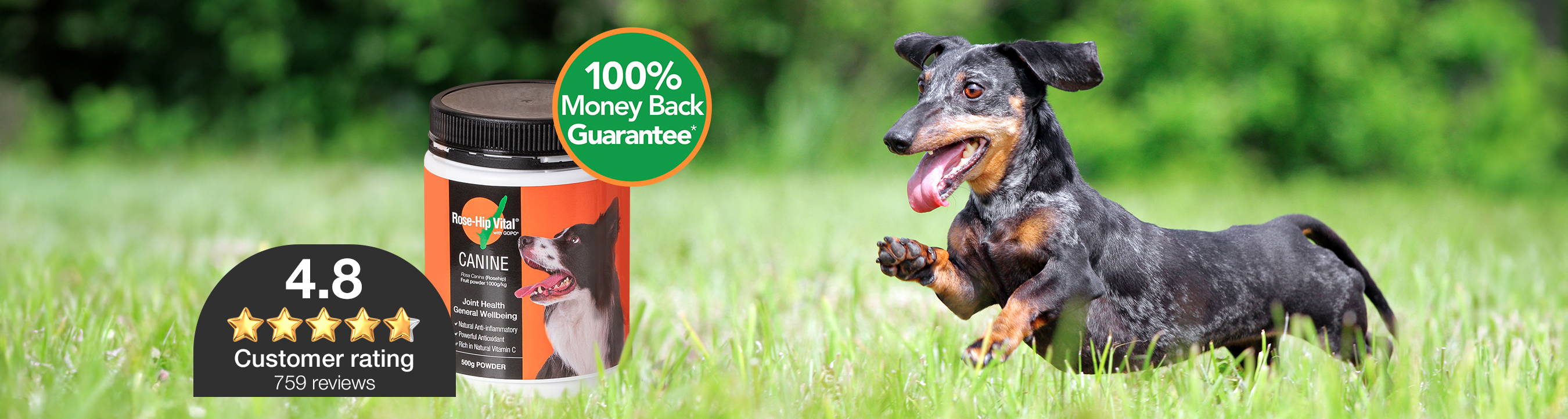 Rose-Hip Vital Canine 500g | Introductory Offer