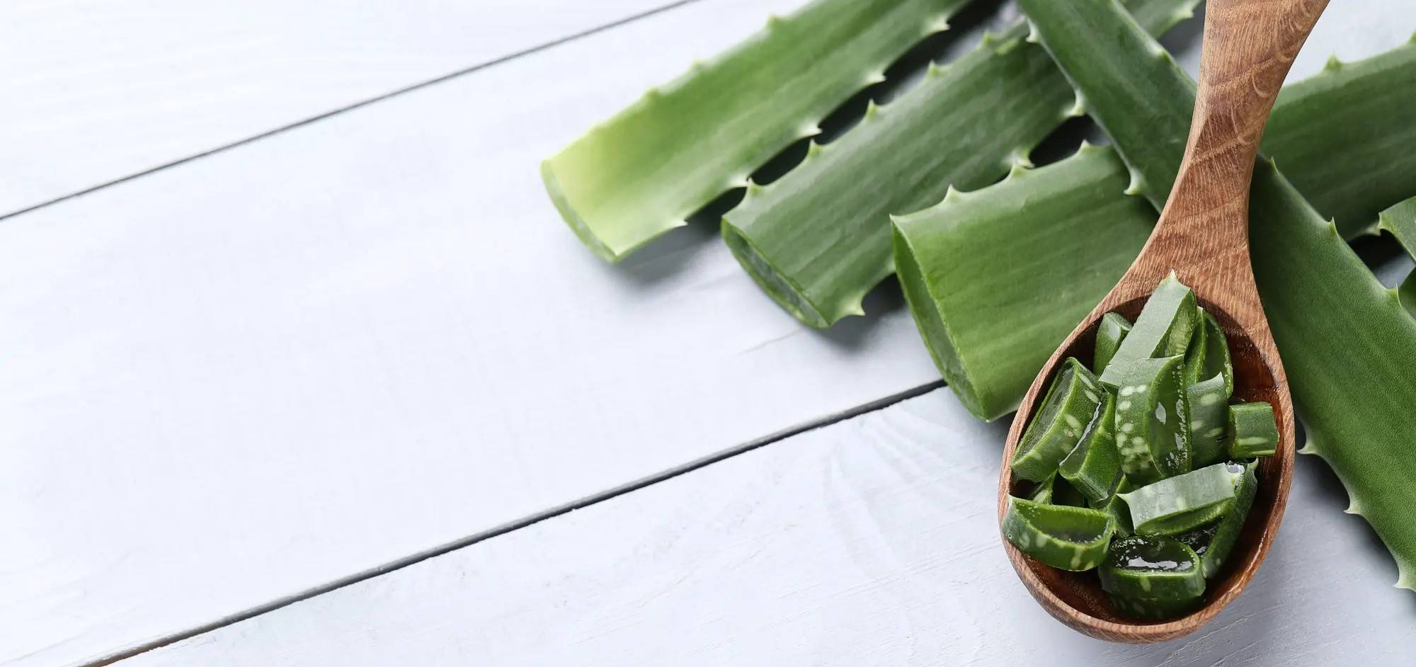 Aloe vera gyakori kérdések.