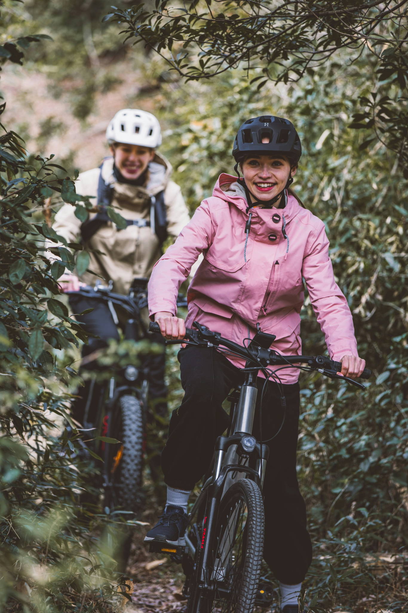 mountain bike elettrica