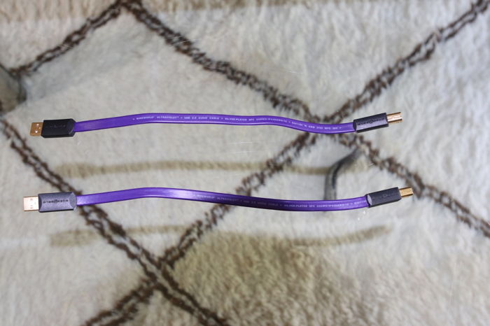 Wireworld Ultraviolet USB 2.0 Cables - .3M - Pair