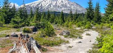 Mount Saint Helens Loop near Toledo, WA