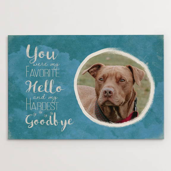 You Were My Favorite Hello and My Hardest Goodbye, Memorial, pitbull