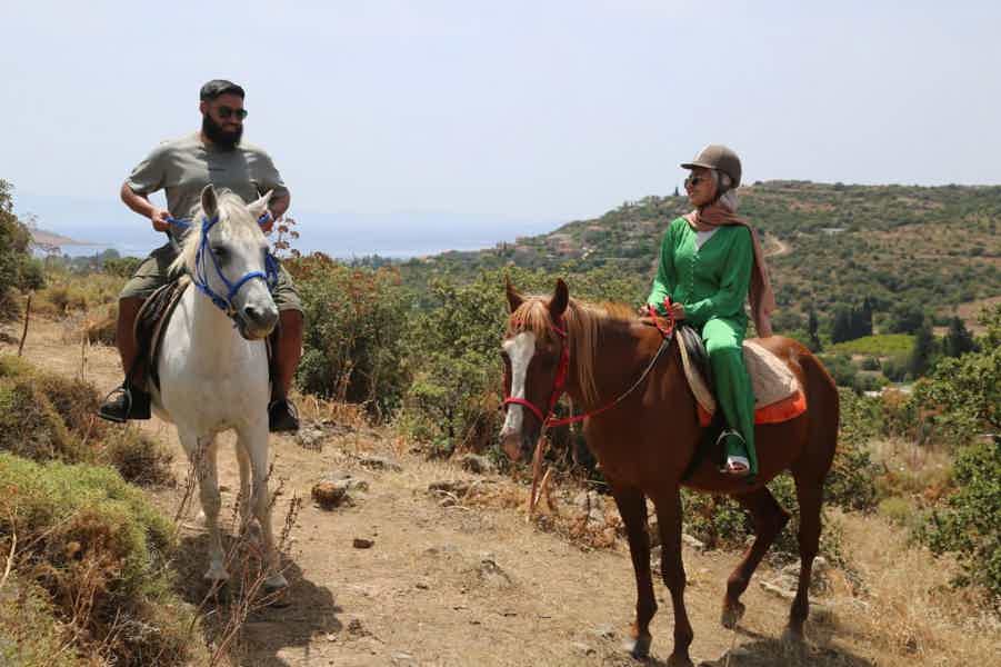 Bodrum: Horse Riding Experience with Forest or Seaside Route - photo 4