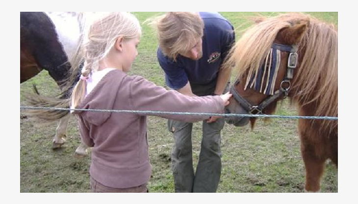 bauernhof gut halfeshof a pony streicheln