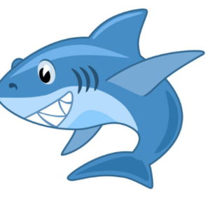 sharklas Avatar