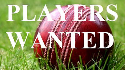 Oswaldtwistle Immanuel Chuch Cricket Club Cricket Club Logo