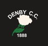 Denby Cricket Club Logo