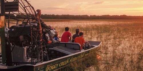 1-Hour Boggy Creek Sunset Airboat Tour promotional image