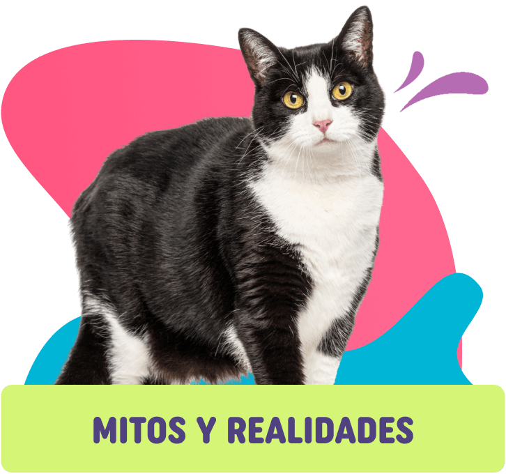 mitos y realidades