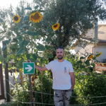 Image Profile