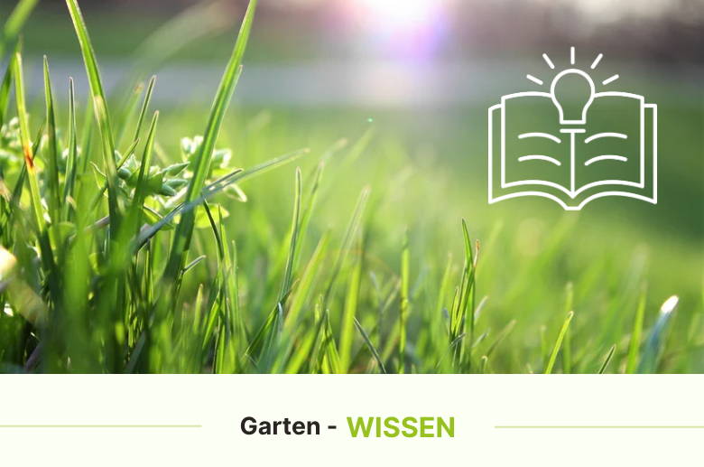 Gartengestaltung_Grafik_2