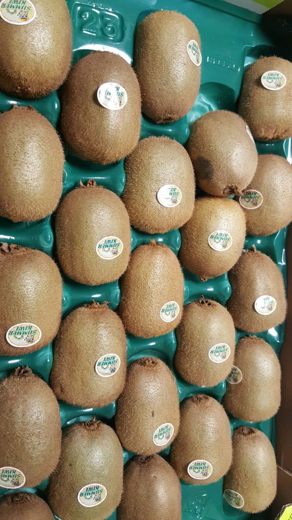 kiwi-vert-bio